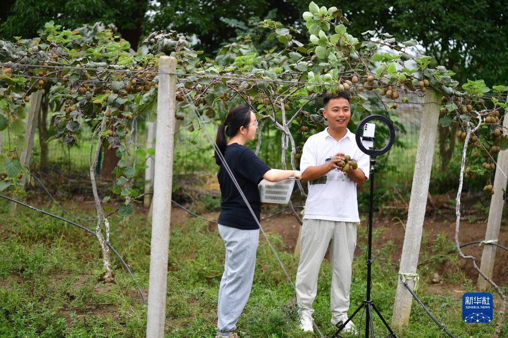 威尼斯电子游戏下载平台