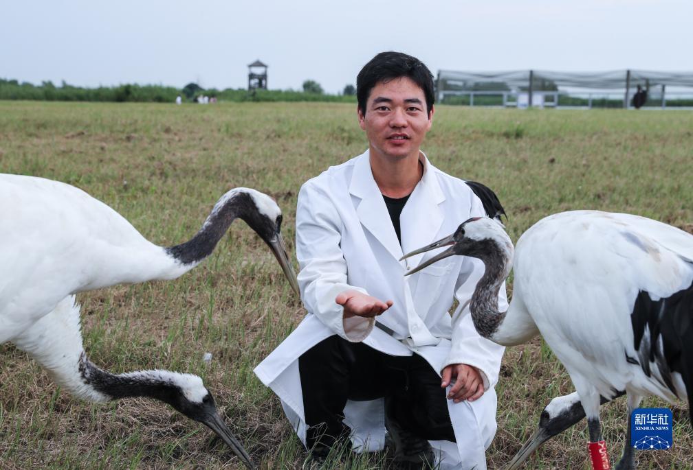 长龙捕鱼